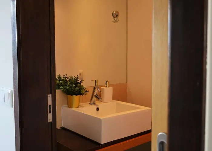 Ouriço * Encarnacao