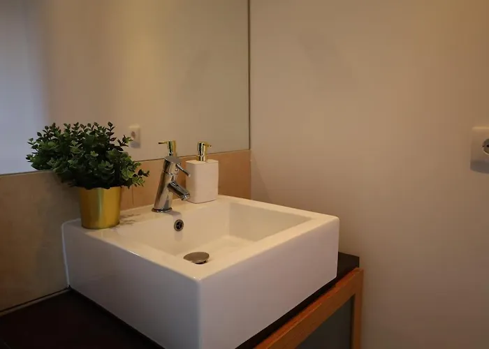 Ouriço * Encarnacao