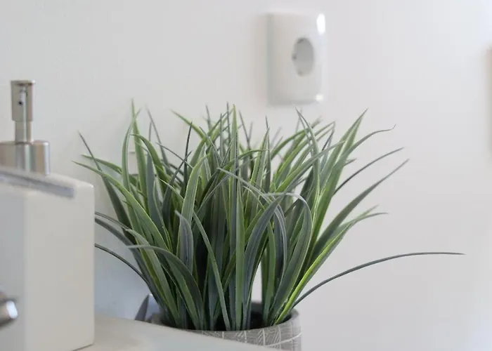 Ouriço Villa Encarnacao