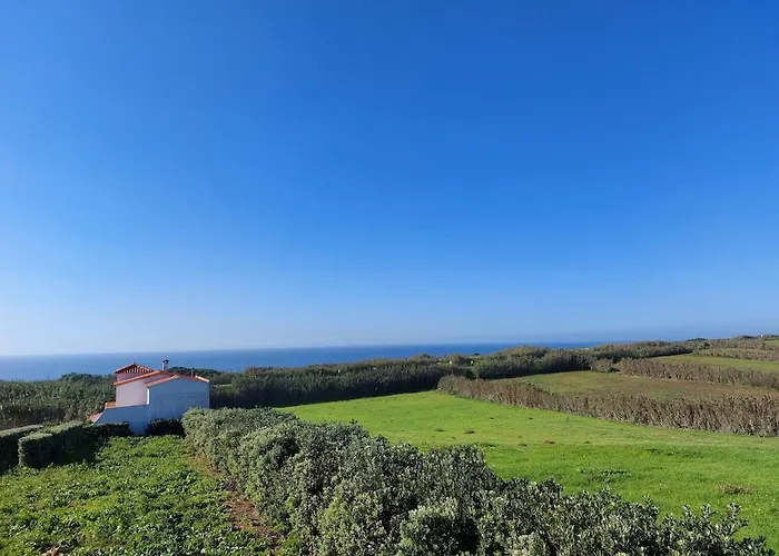 Ouriço * Encarnacao