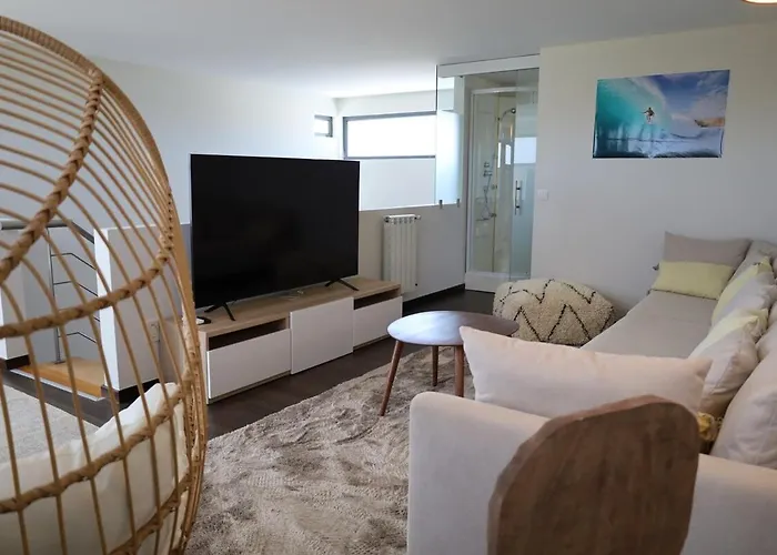 Ouriço Villa Encarnacao